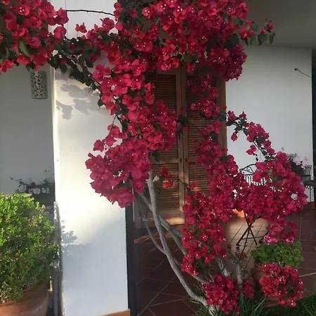 Guest house La Bouganville 3*